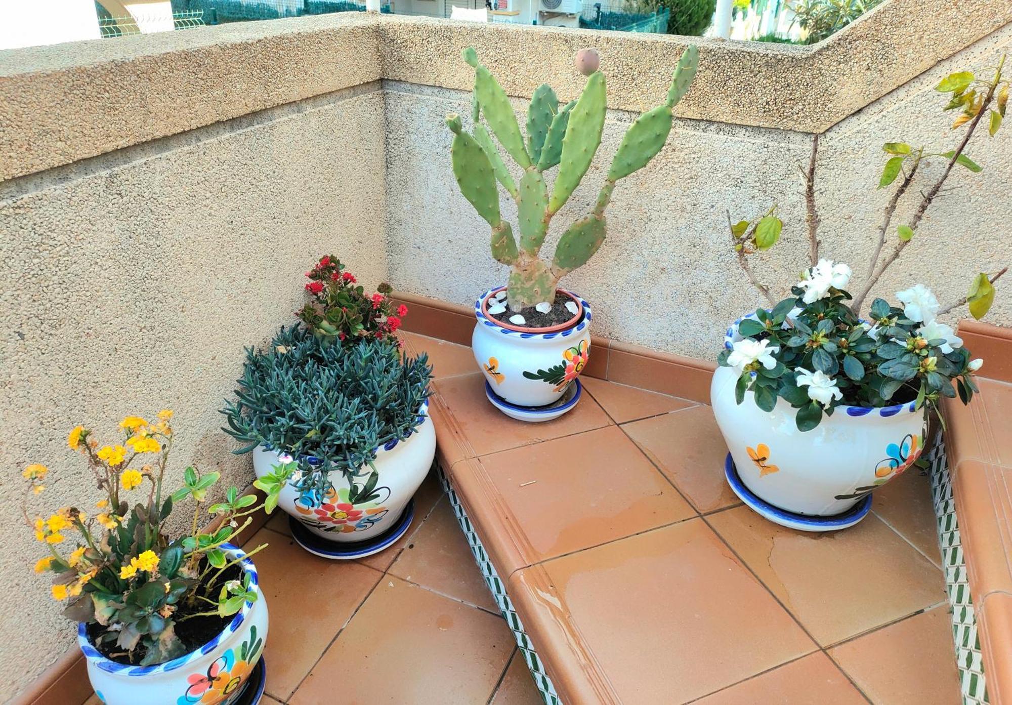 Casa De Buenos Dias Apartment Torrevieja Luaran gambar